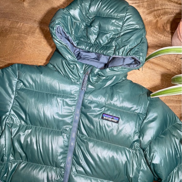 Patagonia Hi-Loft Down Sweater Hoody - Picture 3 of 13